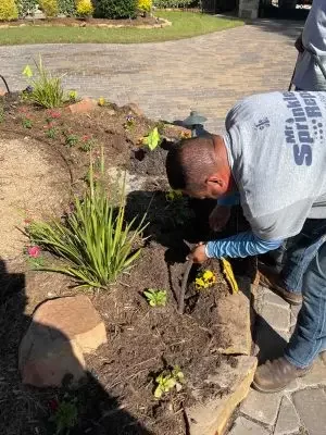 Mr Sprinkler Repair technician working on landscaping in Dallas TX